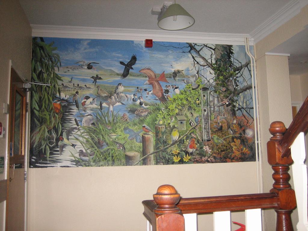 Yha Borth Room photo